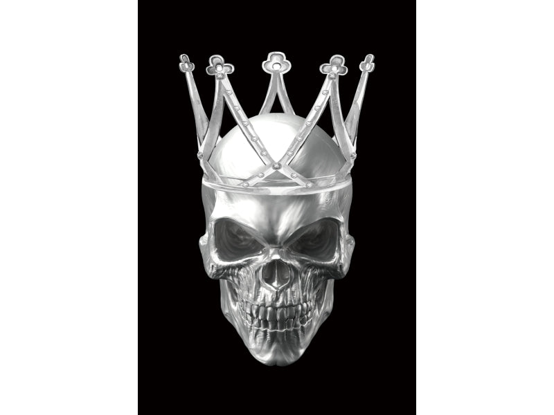 Picture Skull II