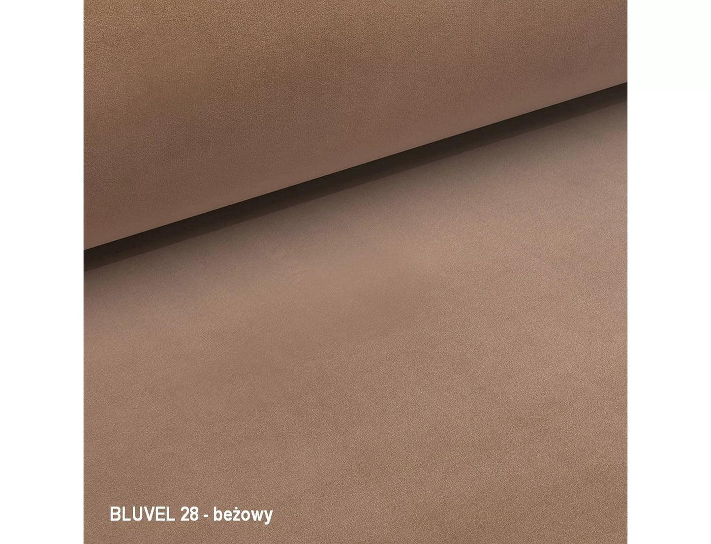 Camellia 2 Velvet