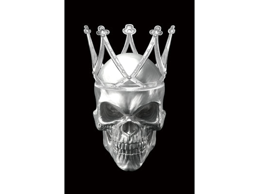 Obraz Skull II
