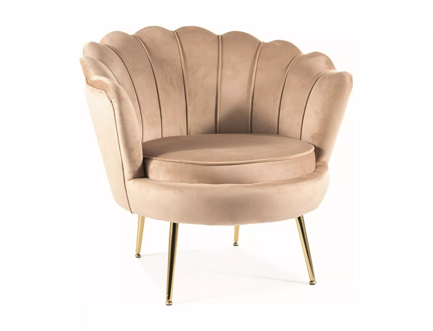 Camellia 1 Velvet