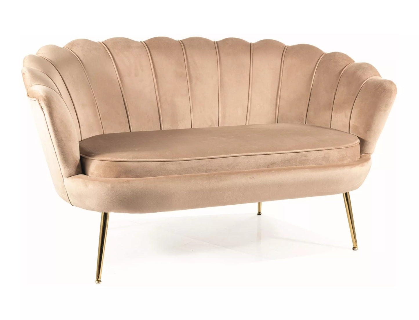 Camellia 2 Velvet