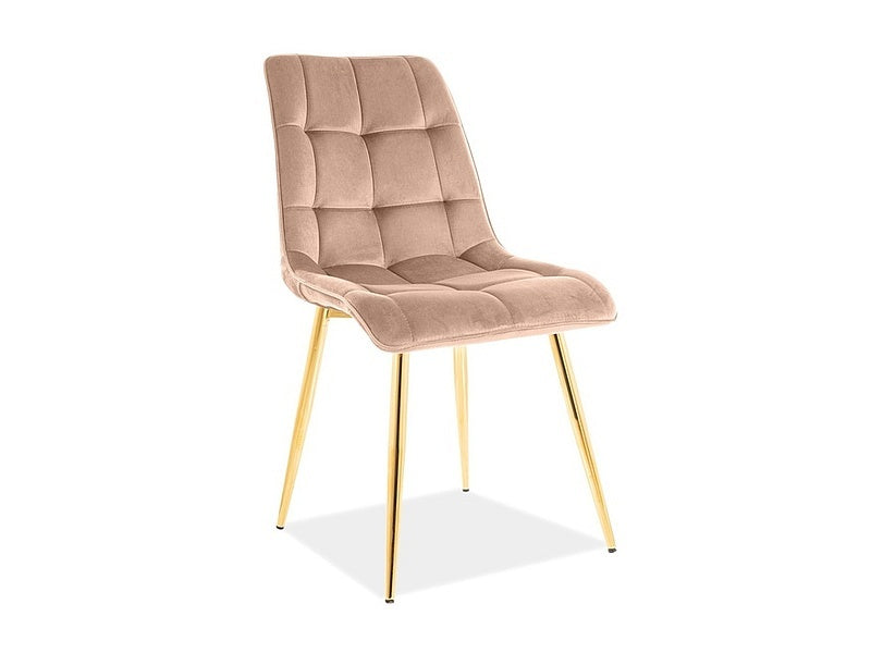 Chic Golden Velvet